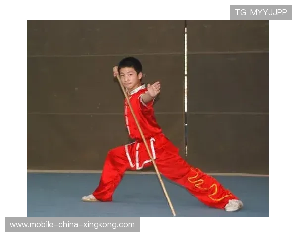 武术枪术整套动作流畅完美